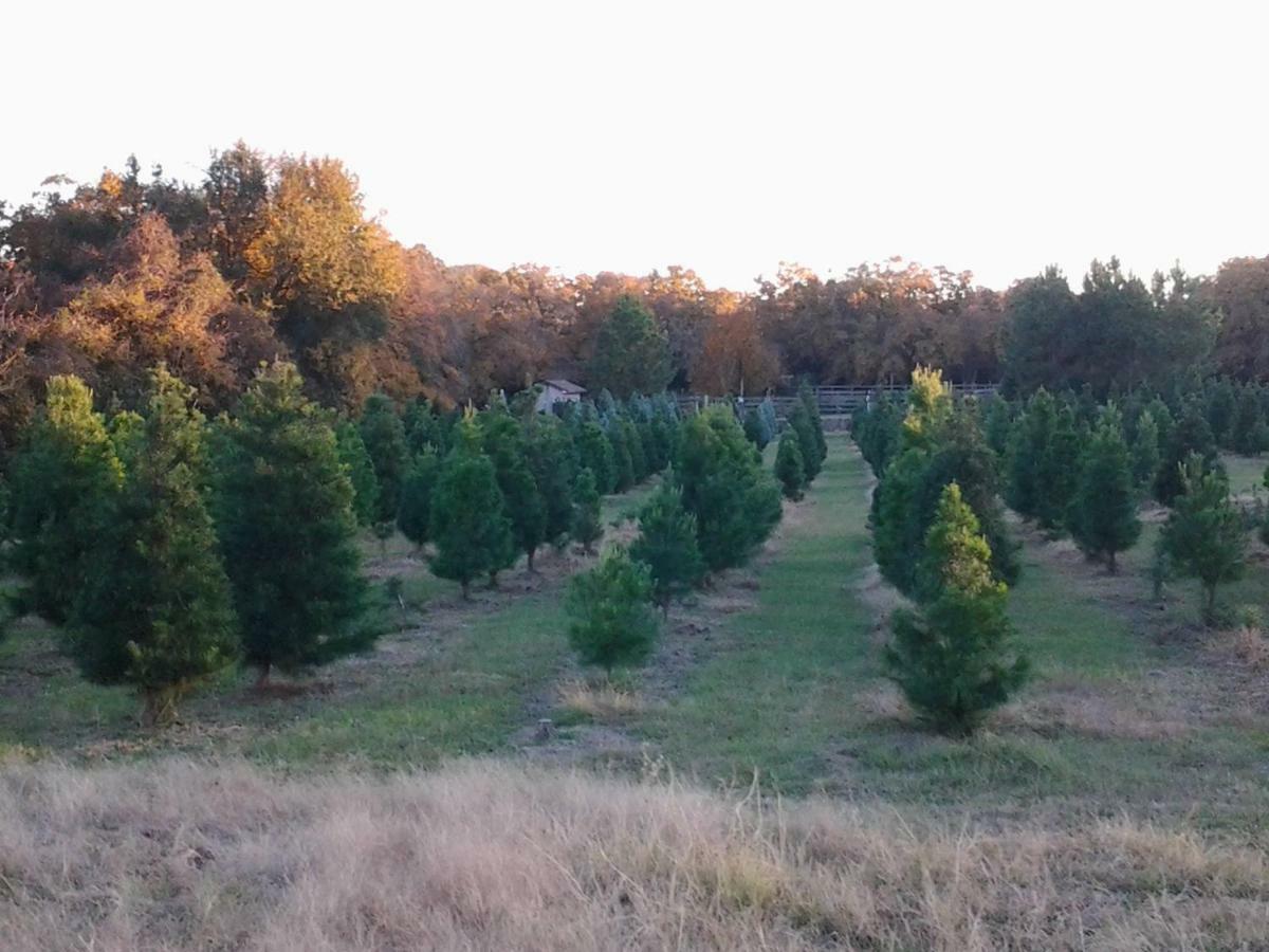 בריאן Kelumac Christmas Tree Farm B&B מראה חיצוני תמונה